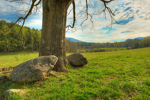 cades cove great smoky mountains